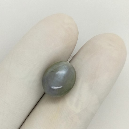 Cat's Eye (Lahsunia) 12.55 Ct Gem Quality Cat's Eye (Lahsunia) 12.55 Ct Gem Quality